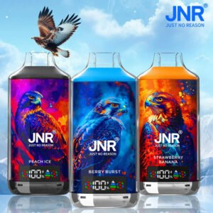 JNR Falcon 18000 Liquide pour cigarette électronique 24 ml pvajf18000