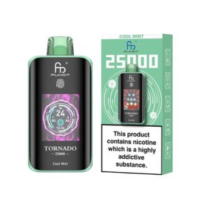 Cool Mint RandM Fumot Tornado 25000 Vape