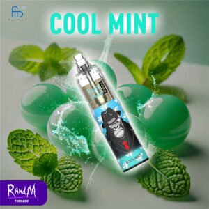 Cool Mint RandM Tornado Vape 7000 pvafrt7000