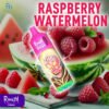 raspberry watermelon randm vape 9000