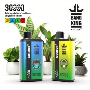 BANG KING 30000 Vape