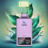 randm tornado 35000 vape cool mint