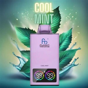 randm tornado 35000 vape cool mint