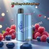 Blueberry Red Raspberry JNR AURORA 27000 Puff pvafrja27000