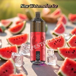 New Watermelon Ice JNR Panda 25500 Puffs pvafrjp25500