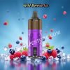Wild Berries Ice JNR Panda 25500 Puffs pvafrjp25500