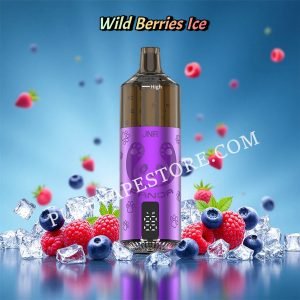 Wild Berries Ice JNR Panda 25500 Puffs pvafrjp25500