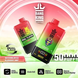watermelon ice blueberry mint bang king 50000 dual flavour pvafrbk50000