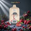 Cherry Berry 12k Randm Tornado Pvafrt12000n2
