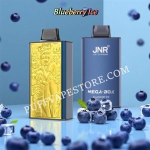 Blueberry Ice Jnr Mega Box 25000 Puff Pvafrjmb25000