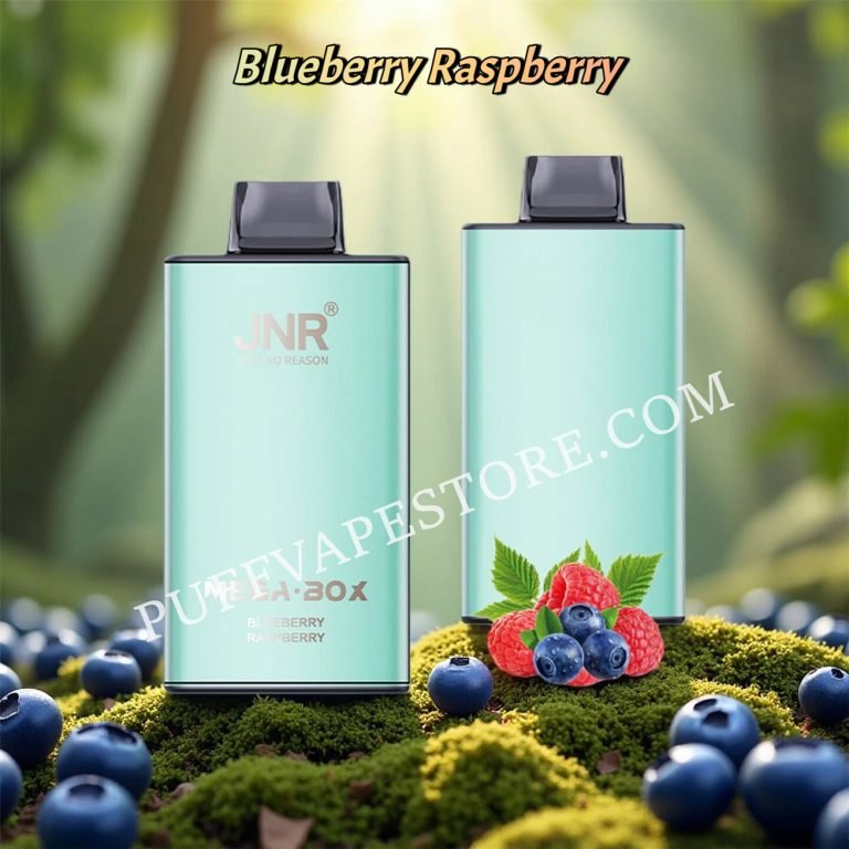 Blueberry Raspberry Jnr Mega Box 25000 Puff Pvafrjmb25000