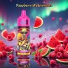 Raspberry Watermelon Jnr Alien 10k Pvaja10000