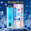 Blueberry Ice Jnr Shisha Max 22000 Pvafrjsm22000
