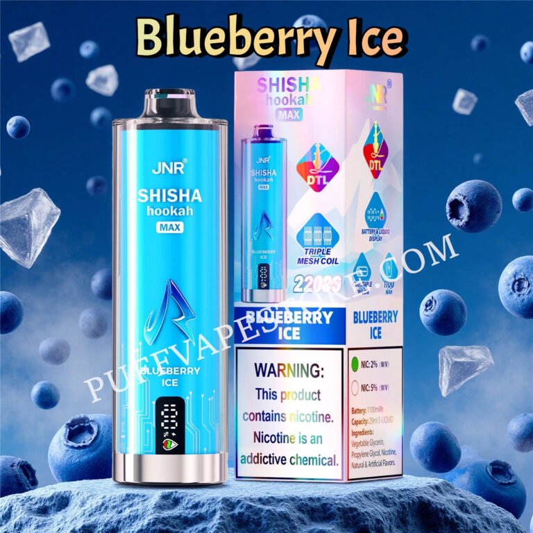Blueberry Ice Jnr Shisha Max 22000 Pvafrjsm22000