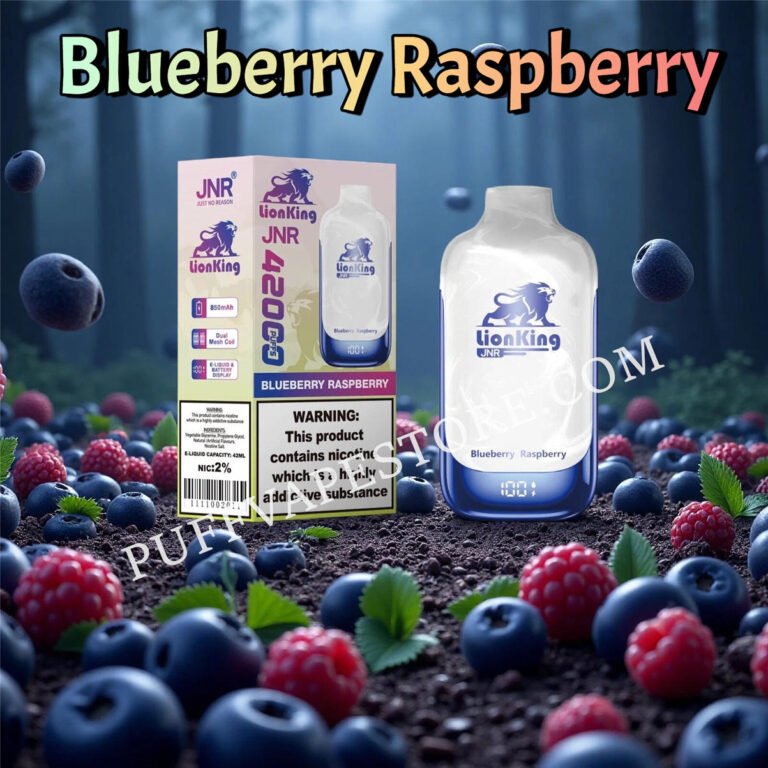 Blueberry Raspberry Jnr Lionking 42000 Puffs Pvafrjlk42000