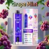 Grape Mint Jnr Shisha Max 22000 Pvafrjsm22000