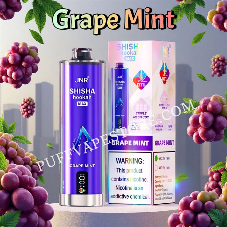 Grape Mint Jnr Shisha Max 22000 Pvafrjsm22000