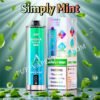 Simply Mint Jnr Shisha Max 22000 Pvafrjsm22000